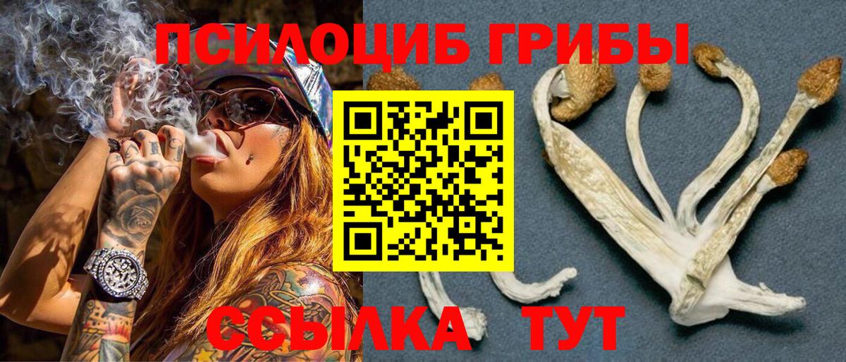 Галлюциногенные грибы GOLDEN TEACHER  Вход с VPN  Георгиевск 